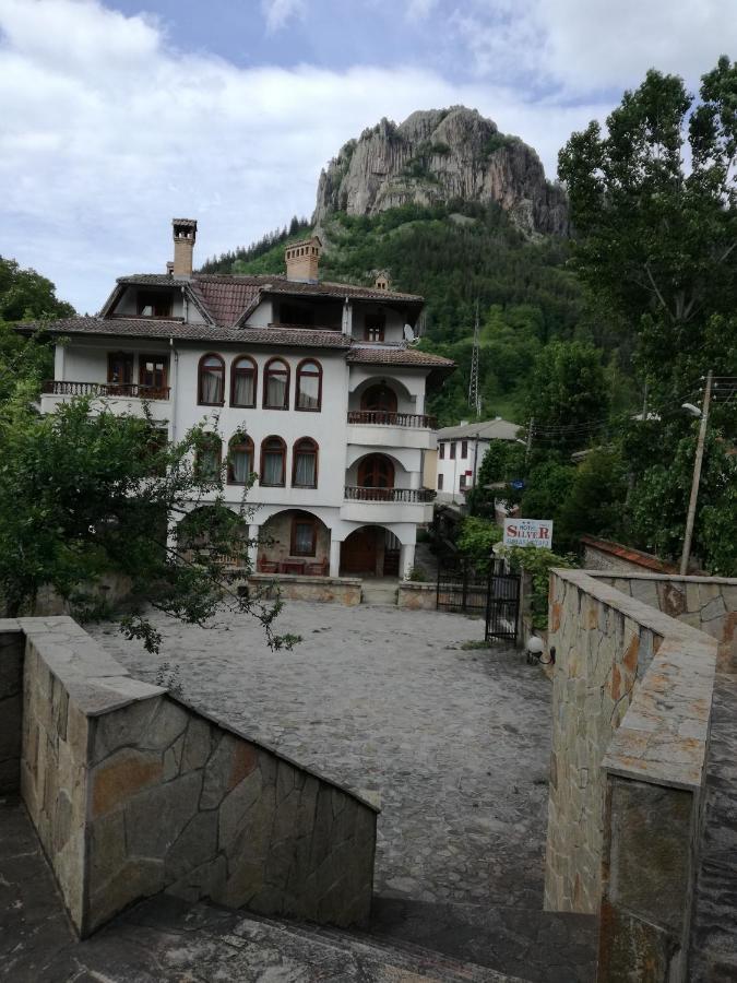 Family Hotel Silver Smolyan Eksteriør billede